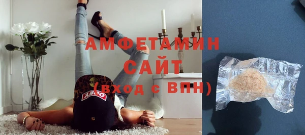 стаф Алзамай