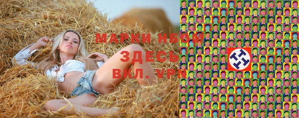 стаф Алзамай
