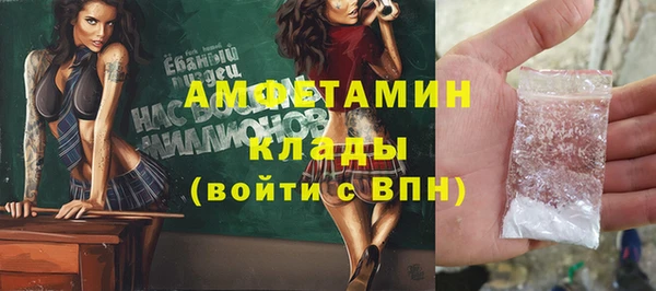 стаф Алзамай