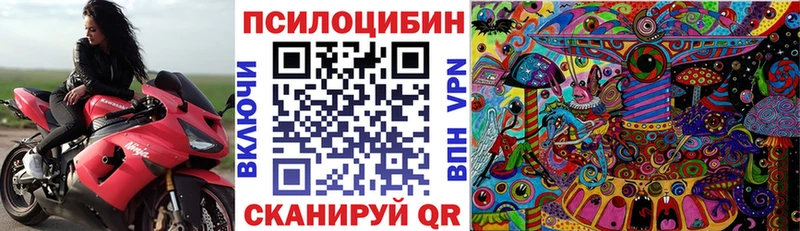 kraken   Обнинск  Псилоцибиновые грибы мухоморы 